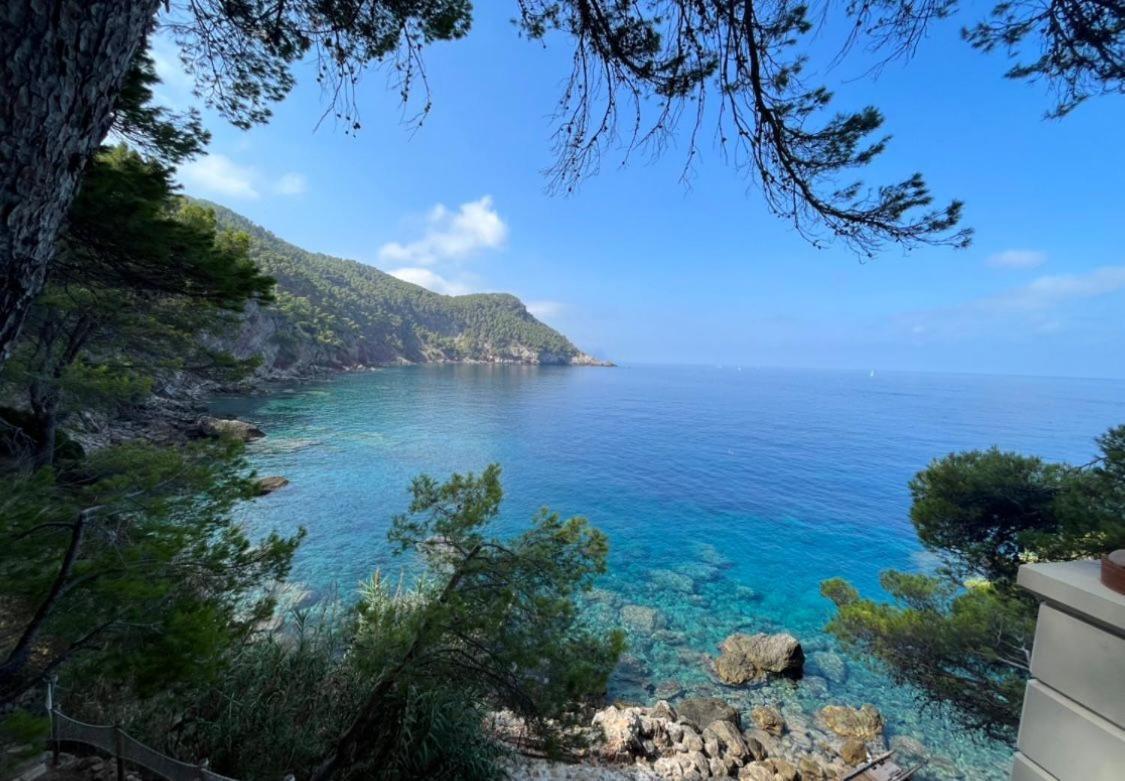 Villa Banyalbufar Dış mekan fotoğraf