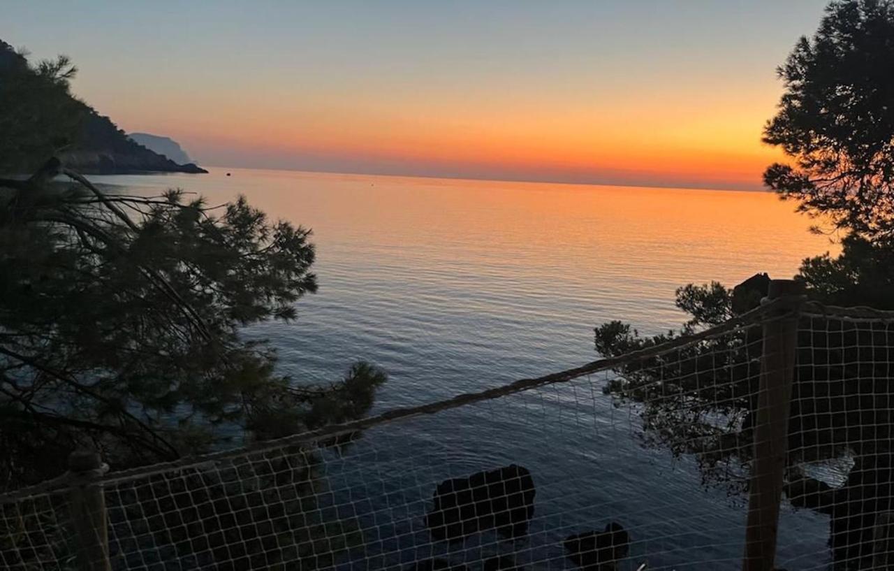 Villa Banyalbufar Dış mekan fotoğraf